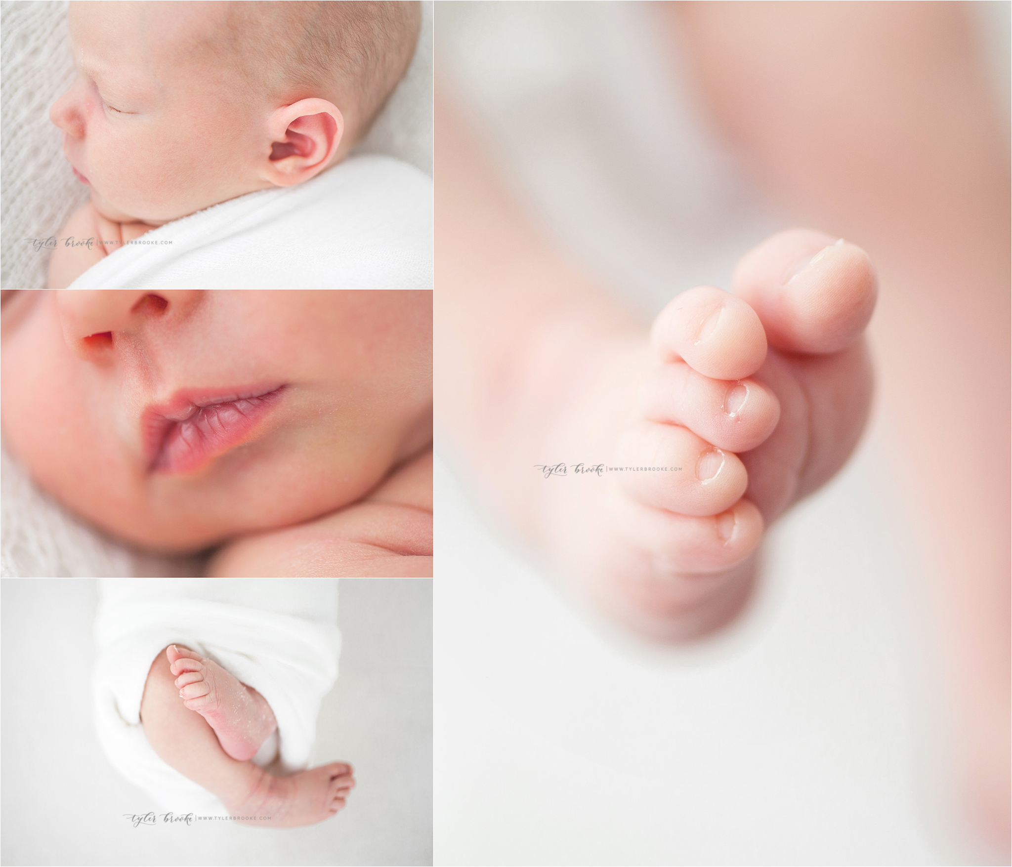 http://tylerbrooke.com/albuquerque-newborn-photographer-session-details/