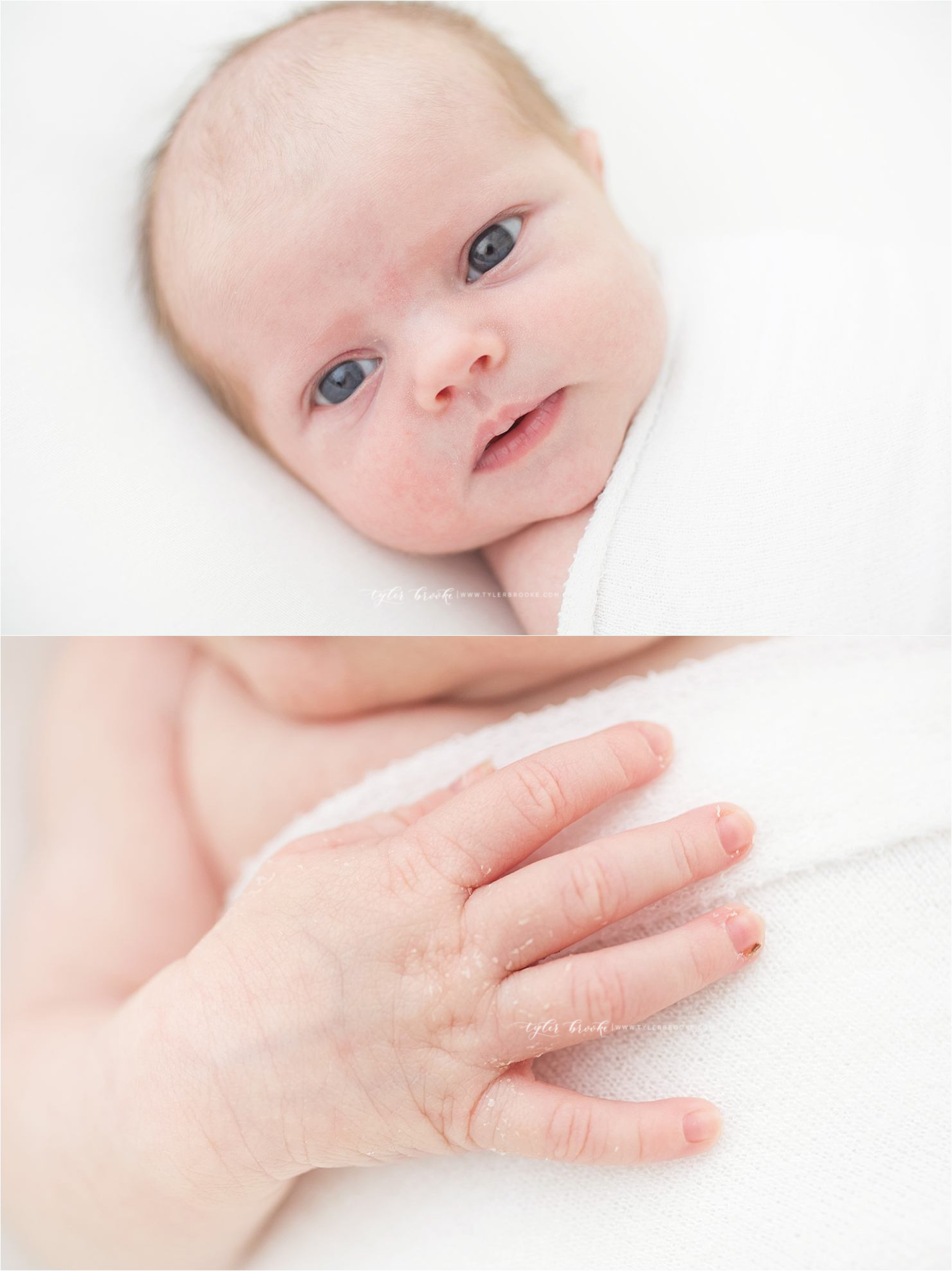 Albuquerque Newborn Photographer | Tyler Brooke Photography | www.tylerbrooke.com