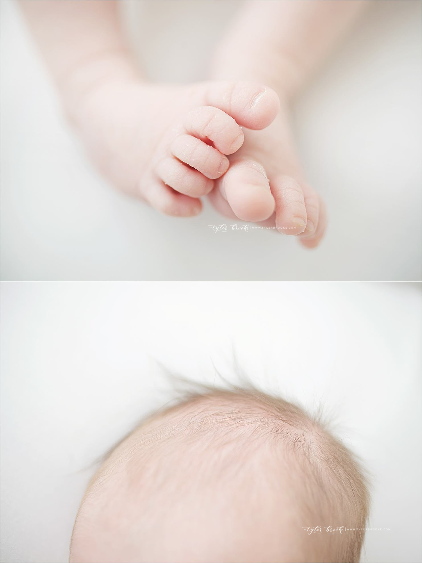 Albuquerque Newborn Photographer | Tyler Brooke Photography | www.tylerbrooke.com