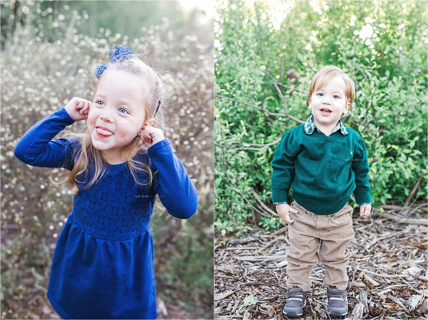 albuquerque family photographer