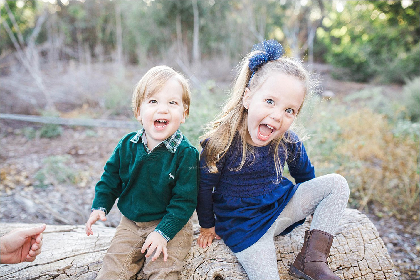 albuquerque family photographer