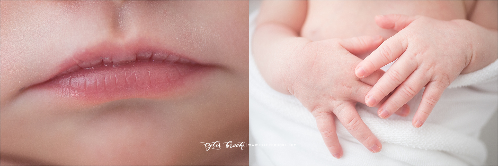 Albuquerque Newborn Photographer_www.tylerbrooke.com_Kate Herrera