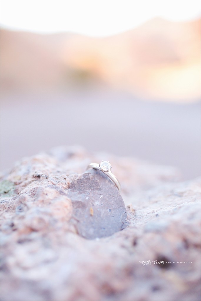 Albuquerque Engagement Photographer_www.tylerbrooke.com_Kate Kauffman_13